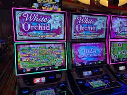 Live casino table with multiple-camera setup